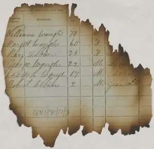 Gleanings and Fragments from the Censuses of Ireland, 1813–1891